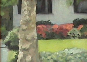 Suburb5